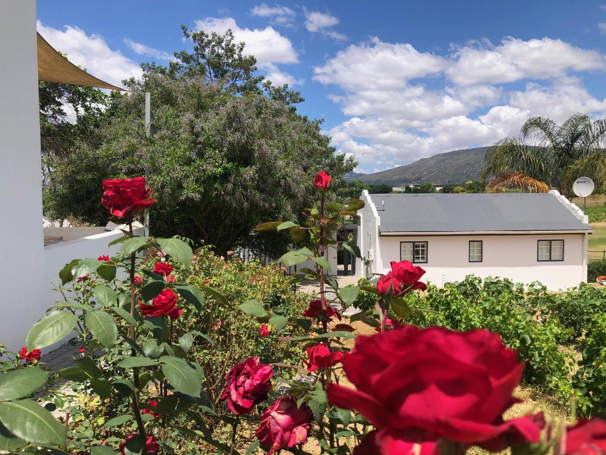 Tempel Wines Hotel Paarl Exterior photo