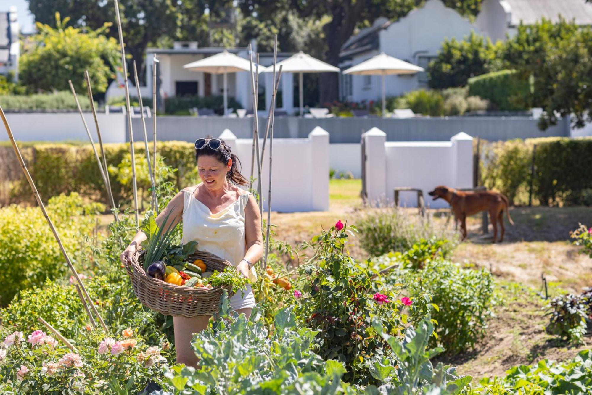 Tempel Wines Hotel Paarl Exterior photo