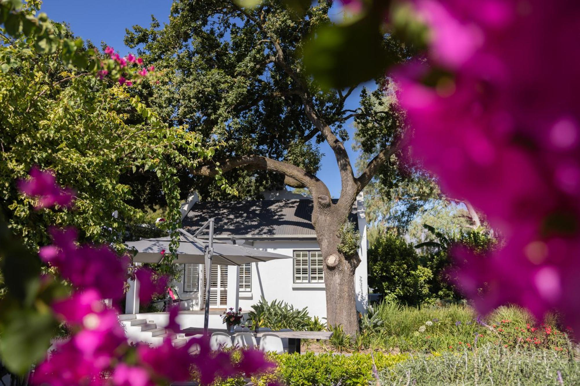 Tempel Wines Hotel Paarl Exterior photo